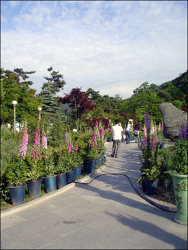 아기자기하게 조성된 산책로 